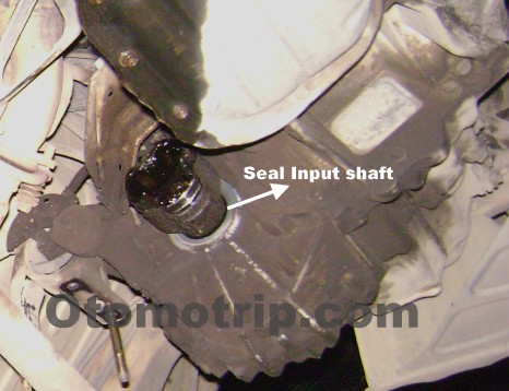 Bocor oli dari seal input shaft sedan