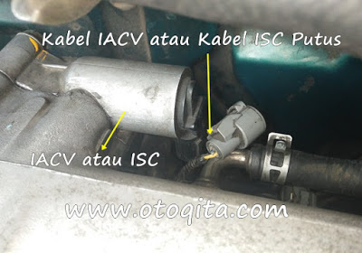 gambar soket kabel IACV atau ISC 